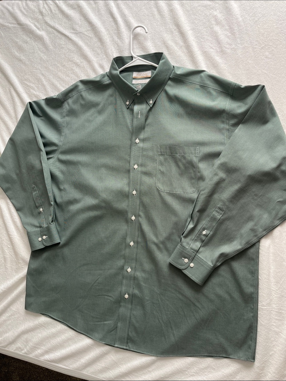 Roundtree & Yorke Men's Button-Down Shirt in Green